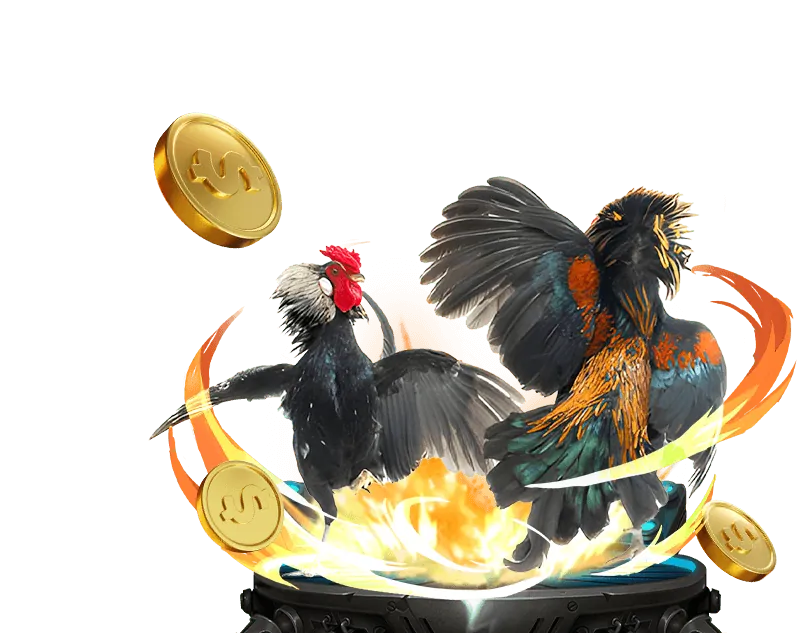 Ưu đãi casino KU11BET